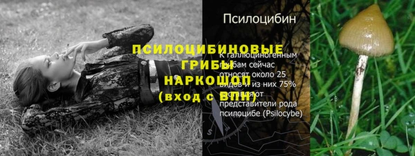 крисы Беломорск