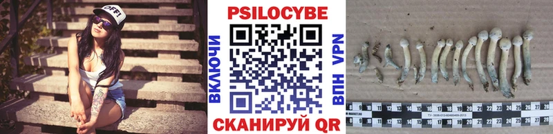 Галлюциногенные грибы Cubensis  продажа наркотиков  Котельнич 
